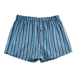 Sous-vêtements pour hommes